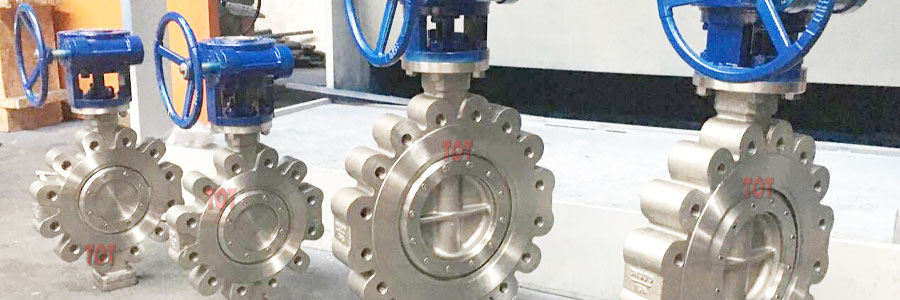 lug butterfly valve