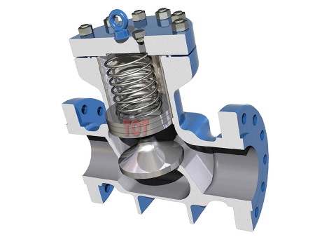 Lift Check Valve