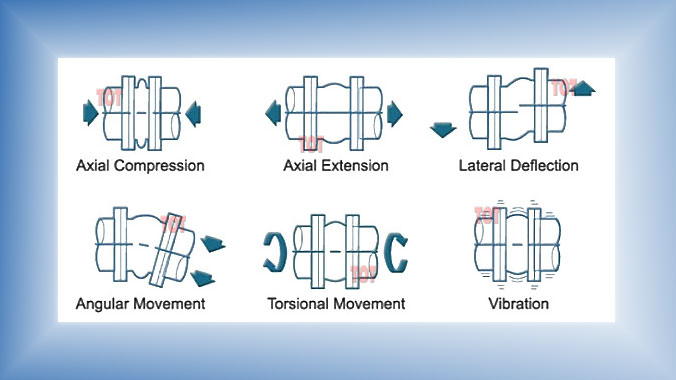 Rubber Expansion Joints