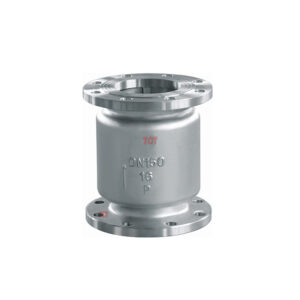 Vertical Lift Check Valve